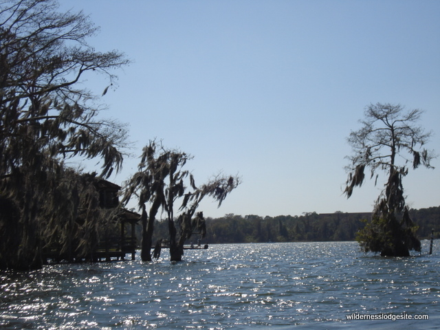 Snapshots from Bay Lake